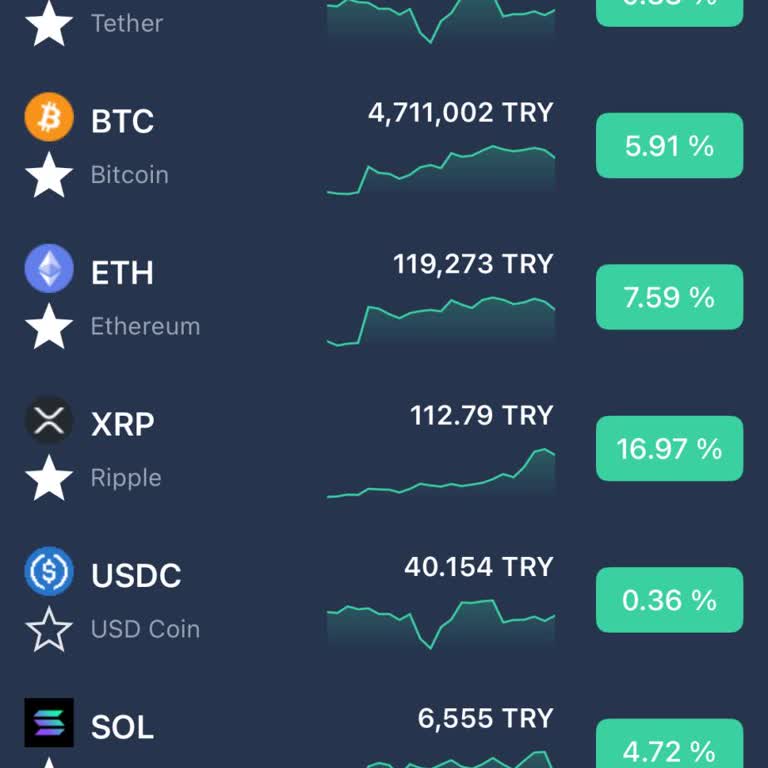 Hesabımdaki Doge Coinlerim Kayboldu Geçmişte De Görünmüyor