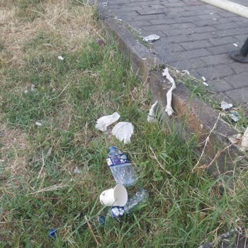 Bağlık Mahallesi'ndeki Parkın Temizlik Sorunu Ve İlgisizlik