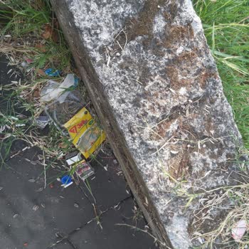 Bağlık Mahallesi'ndeki Parkın Temizlik Sorunu Ve İlgisizlik