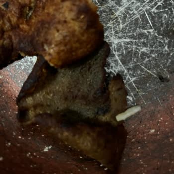 Güvenilir Marka Zehirlenme Şoku Yaşattı!