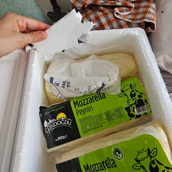 Soğuk Zincir Bozuldu, Bozuk Peynir Teslim Edildi, İade Süreci Mağduriyet Yaratıyor