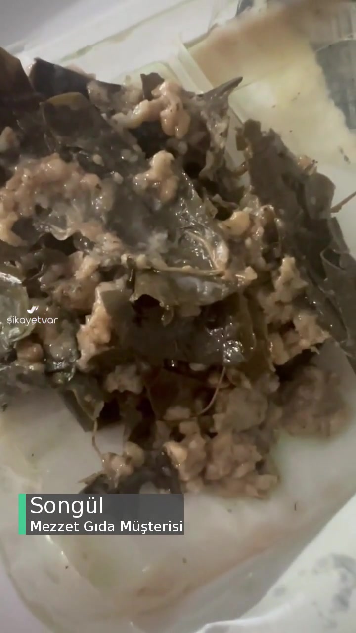 Mezzet Sarma İçerisinden Plastik Çıktı! videonun kapak resmi