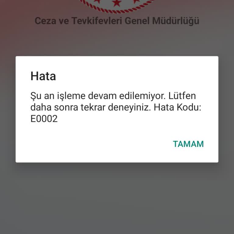 Adalet Bakanlığı Egörüş Hatası