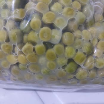 Siparişlerim Bozuk Ve Eksik Geldi, Muhatap Bulamıyorum