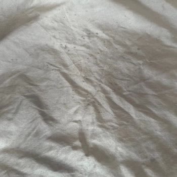 Silkworm İpek Yastık Kılıfı İlk Yıkamada Bozuldu