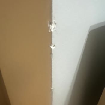 Gafur Nakliyat Eşyalarımı Mahvetti