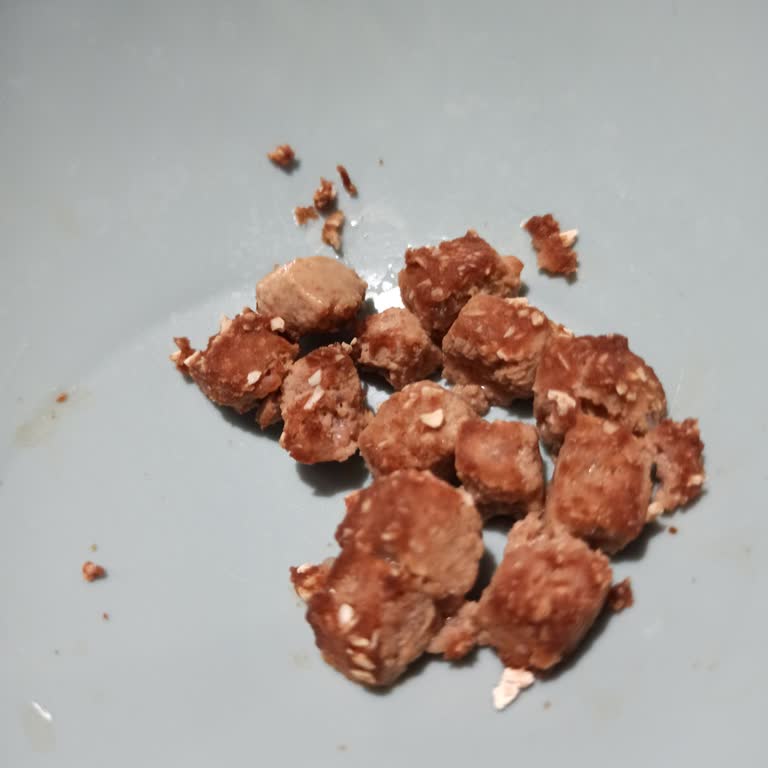 Son Kullanma Tarihi Geçmemiş Kedi Mamasında Şüpheli Görüntü Ve Endişe