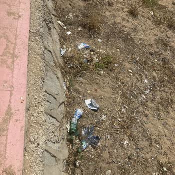 Armutlu Sahilinde Yetersiz Temizlik Ve Çöp Kovası Sorunu