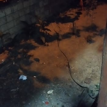Kurulum Hizmetinde Büyük Hayal Kırıklığı