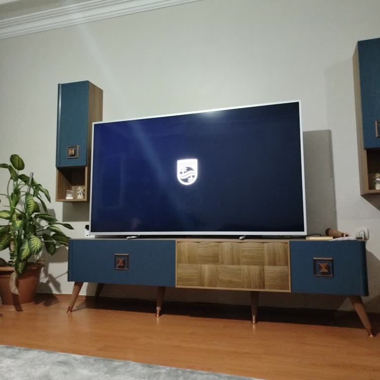 Philips Televizyon Açılmıyor Ve Güncelleme Sorunu