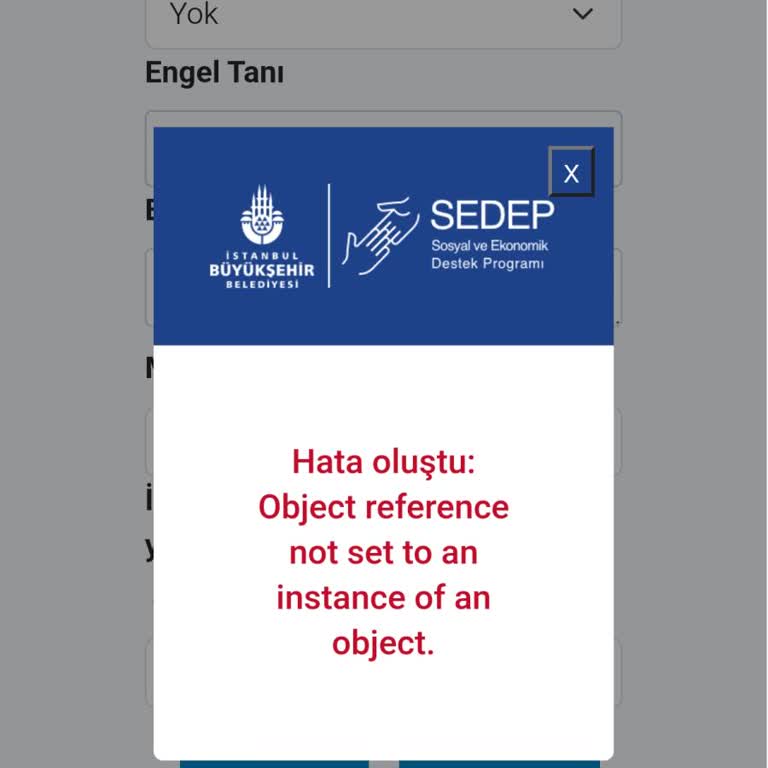 İBB Evlilik Desteği Başvurusunda Sistem Hatası Ve Geri Dönüş Sorunu