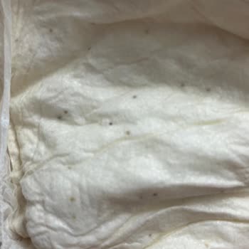 Aldığım Bebek Bezi Paketinden Böcek Çıkması Ve İade Sorunu