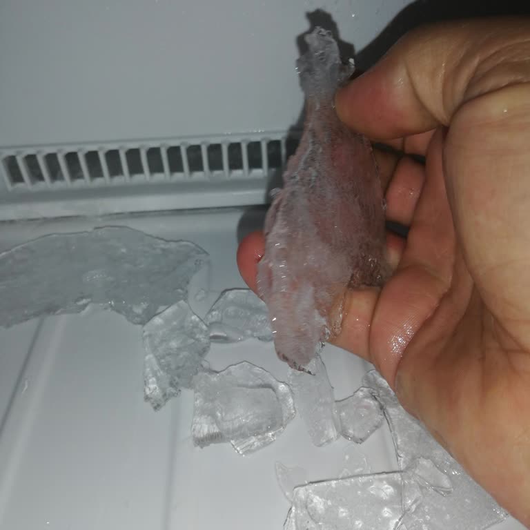 Bosch Buzdolabı Yiyecekleri Bozuyor Ve Sürekli Buzlanma Sorunu Yaşatıyor