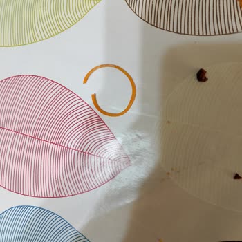 Lahmacunun İçinden Lastik Çıkmasıyla Yaşanan Şok Ve Hayal Kırıklığı