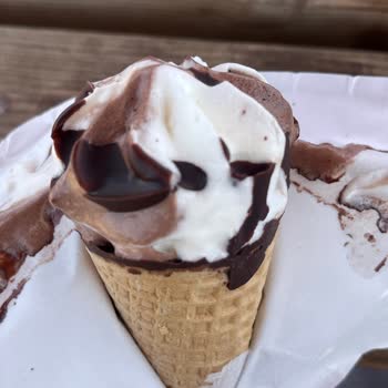 A101'den Aldığım Dondurmadan Kıl Çıktı, Mağduriyetimin Giderilmesini İstiyorum