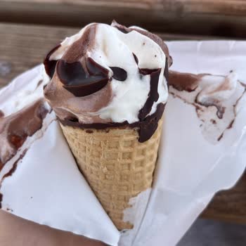 A101'den Aldığım Dondurmadan Kıl Çıktı, Mağduriyetimin Giderilmesini İstiyorum