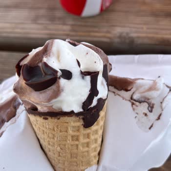 A101'den Aldığım Dondurmadan Kıl Çıktı, Mağduriyetimin Giderilmesini İstiyorum