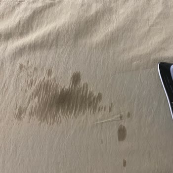 Ayıplı Ürün İçin İade Talebim Reddedildi: Tefal Ütü Su Akıtıyor
