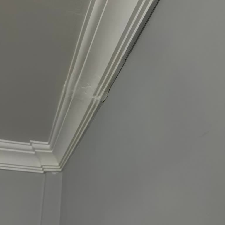 Türkiye Sigorta'dan Hasar Bildirimine Cevap Yok