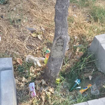 Belediyeye Ait Yeşil Alanda Bakım Eksikliği Ve İhmal