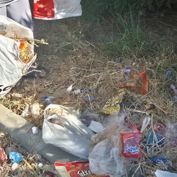 Belediyeye Ait Yeşil Alanda Bakım Eksikliği Ve İhmal