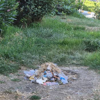 Belediyeye Ait Yeşil Alanda Bakım Eksikliği Ve İhmal