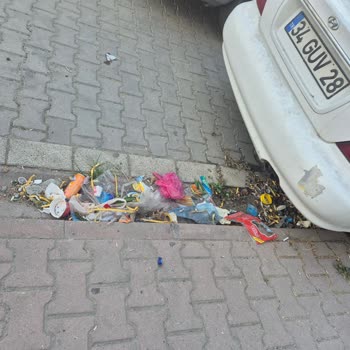 Belediyeye Ait Yeşil Alanda Bakım Eksikliği Ve İhmal