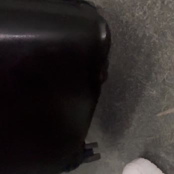 A***** B**** H***** V* D****** B*********** M********* Y******