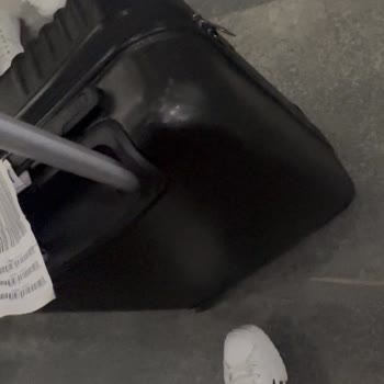 A***** B**** H***** V* D****** B*********** M********* Y******