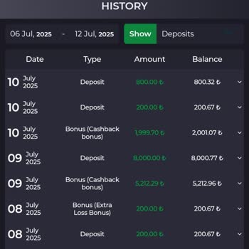 Kralbet Sitesinde Yatırımlarımda Hiçbir Kazanç Sağlayamadım