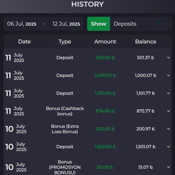 Kralbet Sitesinde Yatırımlarımda Hiçbir Kazanç Sağlayamadım