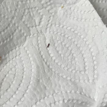 Nestle Nesfit Yulaflı Karışık Meyveli Paketten Böcek Çıkması Ve Sağlık Sorunu