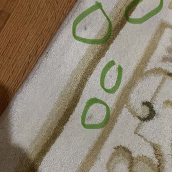 Halı Temizliğinde İlgisizlik Ve Yüksek Ücret Mağduriyeti