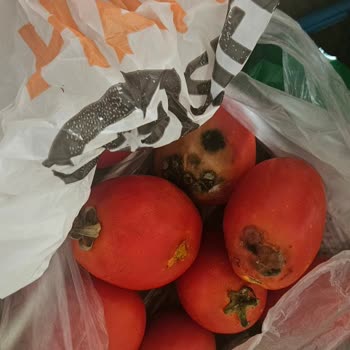 Migros Hemen'den Gelen Çürük Ürünler Ve İlgisiz Müşteri Hizmeti