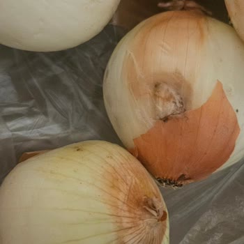 Migros Hemen'den Gelen Çürük Ürünler Ve İlgisiz Müşteri Hizmeti