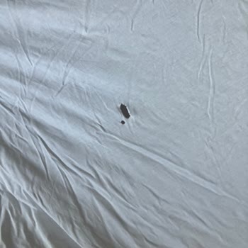 Bosch Çamaşır Makinem Çamaşırları Parçalıyor Ve Sürekli Arıza Çıkarıyor