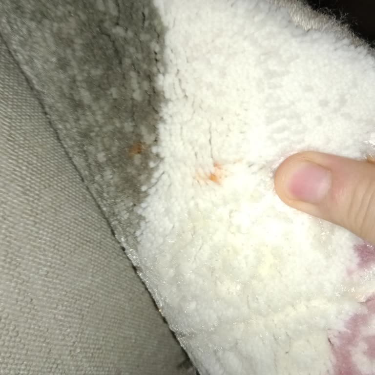 Halı Temizleme Hizmetinde Büyük Hayal Kırıklığı Ve Mağduriyet