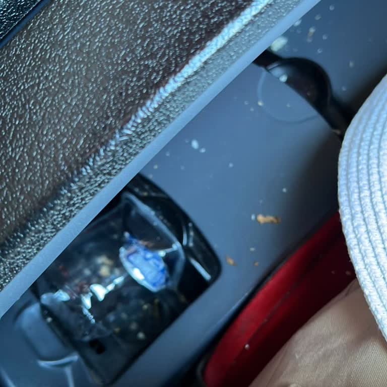 Buzlu Turizm'de İlgisiz Muavin Ve Güvensiz Yolculuk Deneyimi