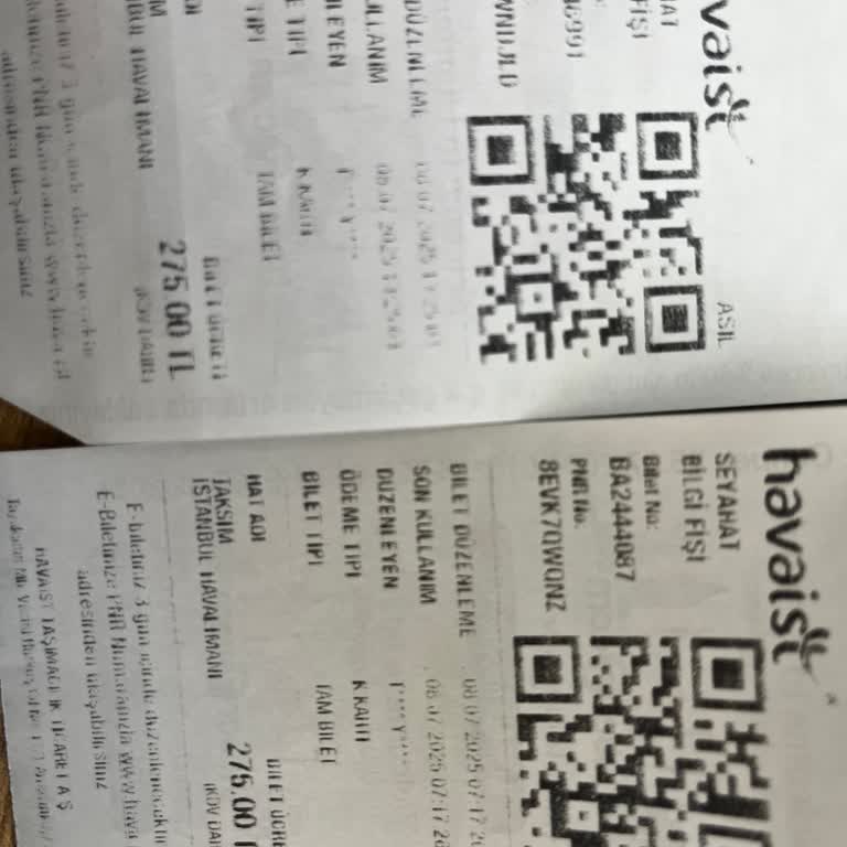 Havaist Web Sitesinde E-Fatura Erişim Sorunu Ve QR Kod Hatası