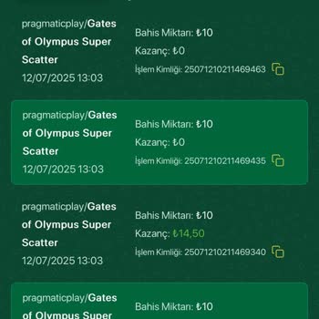 Misty Casino'da Bonus Ve Kazanç Çekiminde Yaşanan Sorunlar Müşteri Memnuniyetini Düşürüyor