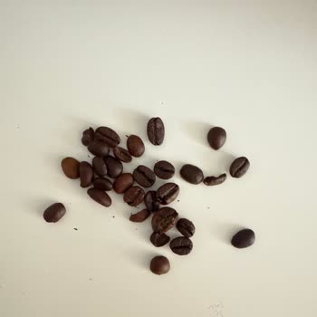 Coffee-Co. Mağduriyet Yaşama