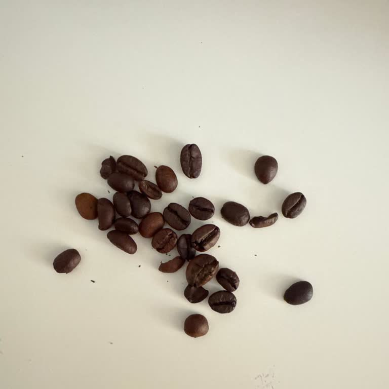 Coffee-Co. Mağduriyet Yaşama