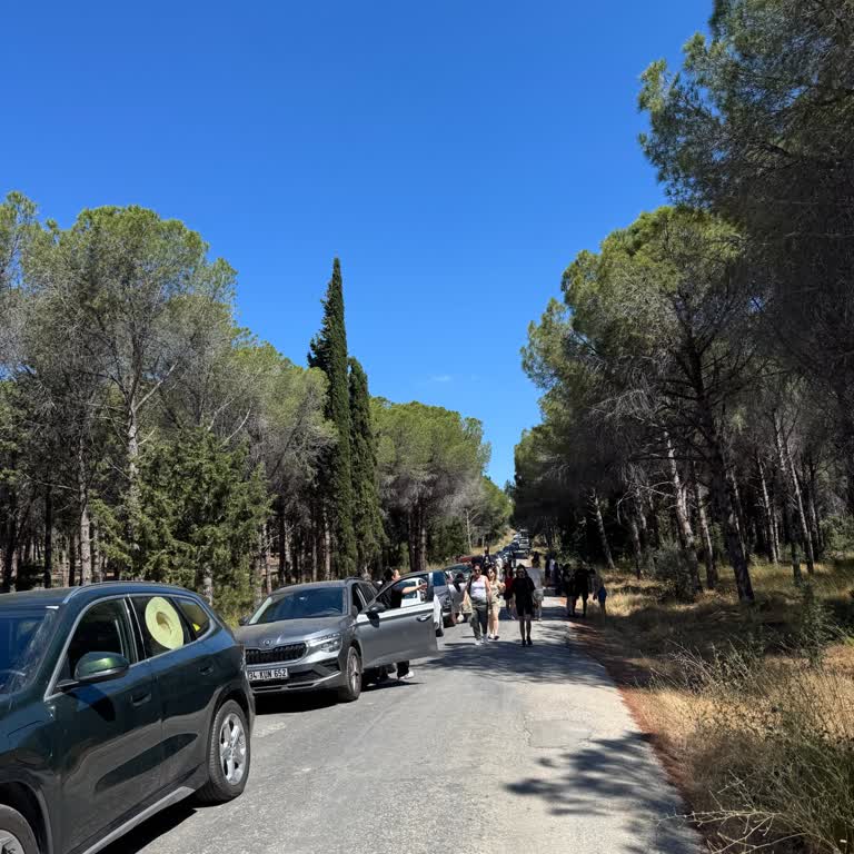 Gestaş Gökçeada Feribotunda Uzun Kuyruk Ve Yetersiz Sefer Sorunu