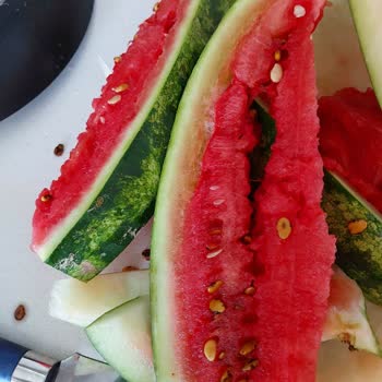 Şok Marketten Aldığım Karpuz Çürük Çıktı Param Boşa Gitti