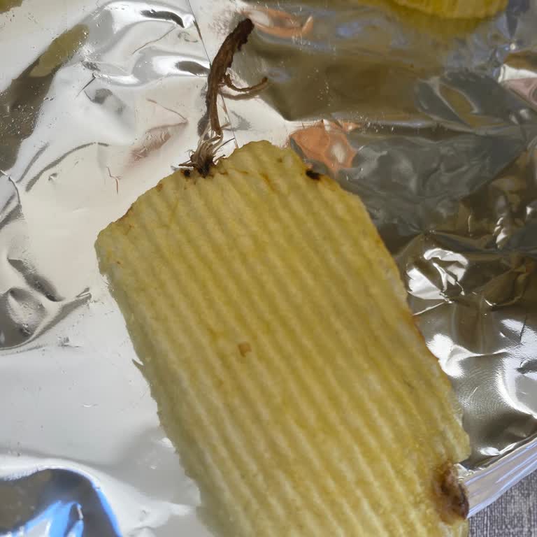 Ruffles Cips Paketinden Yabancı Madde Çıkması