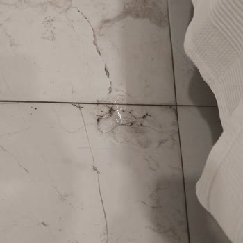 Turda Yaşanan Sorunlar Ve Otel Hijyenine Dair Endişeler