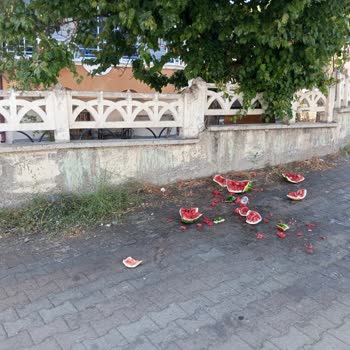 Marketin Karpuz Atıkları Ve Saygısız Çalışanları Sorunu