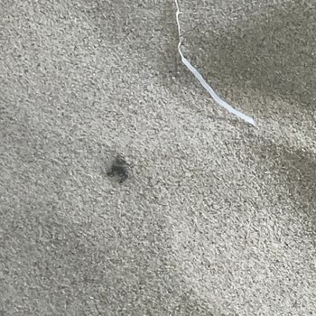 Oyun Alanında Hijyen Sorunu Ve İlgisiz Personel