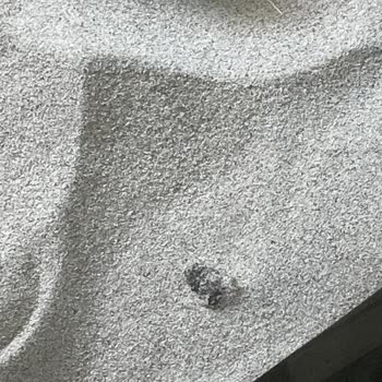 Oyun Alanında Hijyen Sorunu Ve İlgisiz Personel