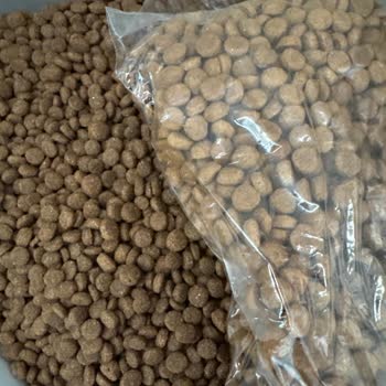 Royal Canin Kedi Mamasında Beklenmedik Renk, Şekil Ve Koku Sorunu